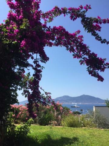 Appart 8 Pers Vue Sur Baie - Porticcio Porticcio  Εξωτερικό φωτογραφία